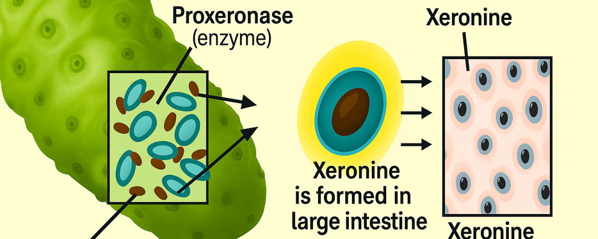 🌿 Tahitian Noni Original & Ξερονίνη