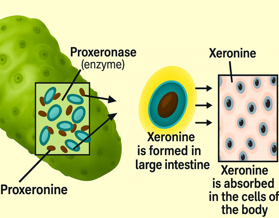 🌿 Tahitian Noni Original & Ξερονίνη